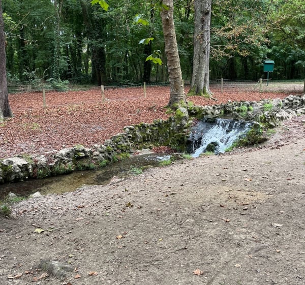 Tour du bois de Vincennes - Vincennes - 1