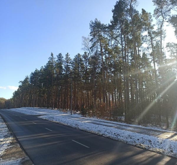 Rezerwat Biele Chojnowskie - Wólka Pęcherska - 1