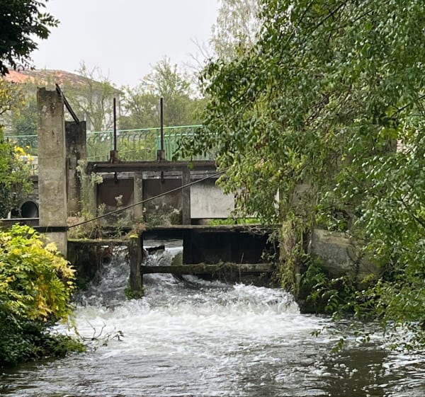 Détours au bord du canal St-Eutrope - Courcelles - 1