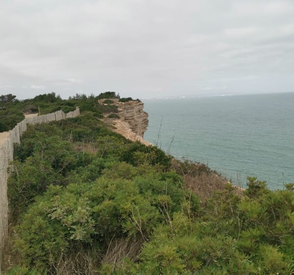 Plateau de Leucate - Leucate - 1