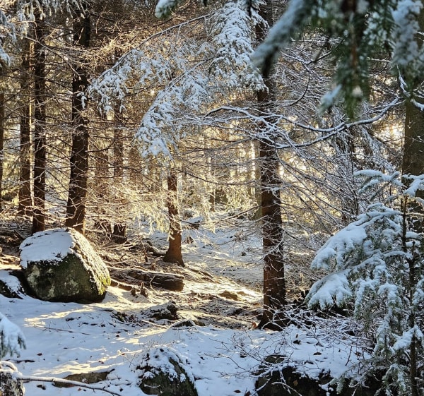 Zejście z Pod Ostrą Małą - Czarnów - 1
