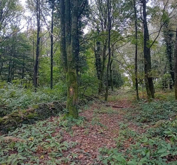 Balade autour d'Elven - Elven - 1
