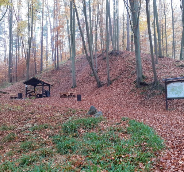 Lwia Paszcza w Puszczy Bukowej - Szczecin - 1