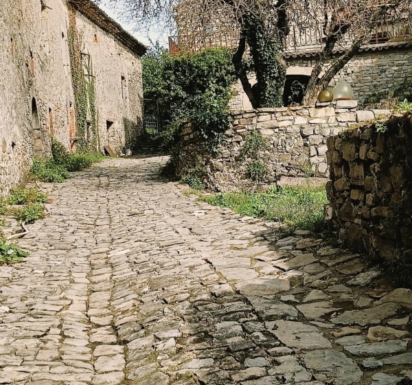 Randonnée à Saint-Julien-les-Rosiers, par Arbousse - Saint-Julien-les-Rosiers - 1