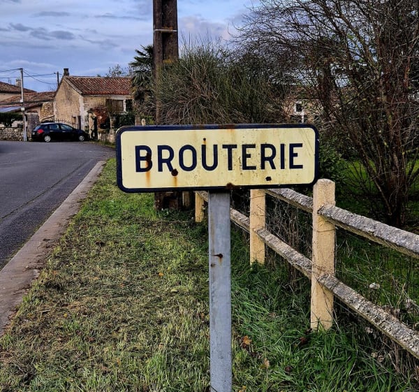 Balade les pieds au sec au départ de Brouterie - Mornac - 1