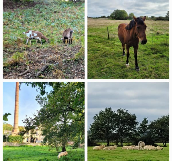 Entre Sèvre Nantaise et campagne vendéenne - Saint-Hilaire-de-Clisson - 1