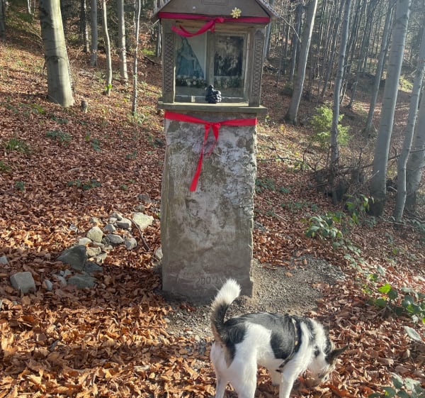 Niebieski szlak na Mogielice - Chyszówki - 1