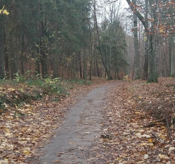 Pętla z Niedźwiednika - Gdańsk - 1