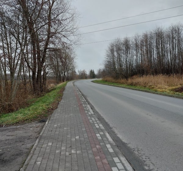 Szosą obok starorzecza Wisłoka - Rzeszów - 1