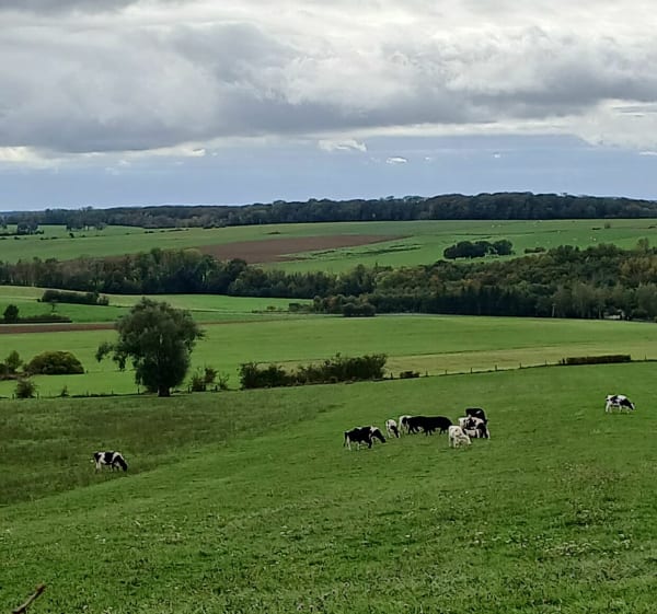 Un dimanche à Aboncourt, par le Lanfau - Aboncourt - 1