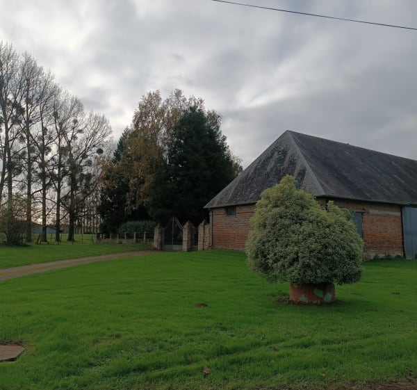 Chemin Vert du petit Caux et campagne - Saint-Rémy-Boscrocourt - 1
