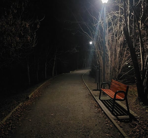 Park Ekologiczny im. Włodzimierza Puchalskiego w Śremie - Śrem - 1