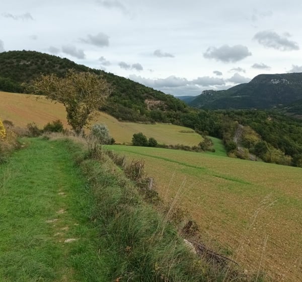 Rando de Compeyre, par le Bois de Quézaguet - Compeyre - 1