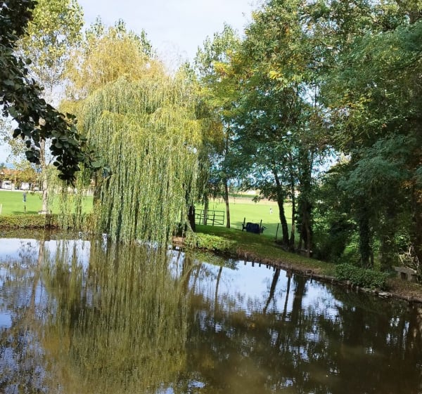 Belle boucle au départ de Saint-Cyprien via Saint-Romain - Saint-Cyprien - 1