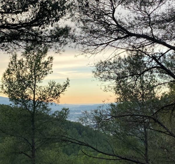 Massif du Gruvellier - Gémenos - 1
