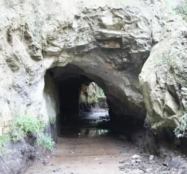 Le Canal d'Ille-sur-Têt - Ille-sur-Têt - 1