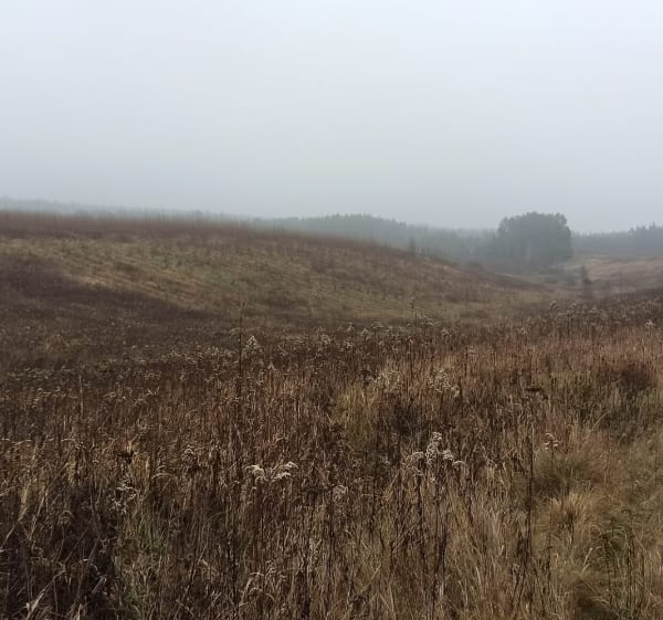 Rakowiecka rundka po lesie - Rakowiec - 1