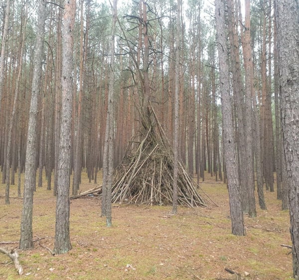 Ścieżki Lasku Miejskiego w Ozorkowie - Ozorków - 1