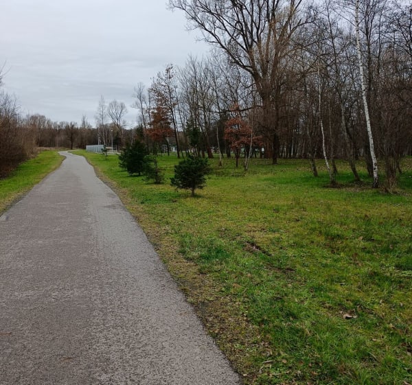 Park Dobczyce - Dobczyce - 1