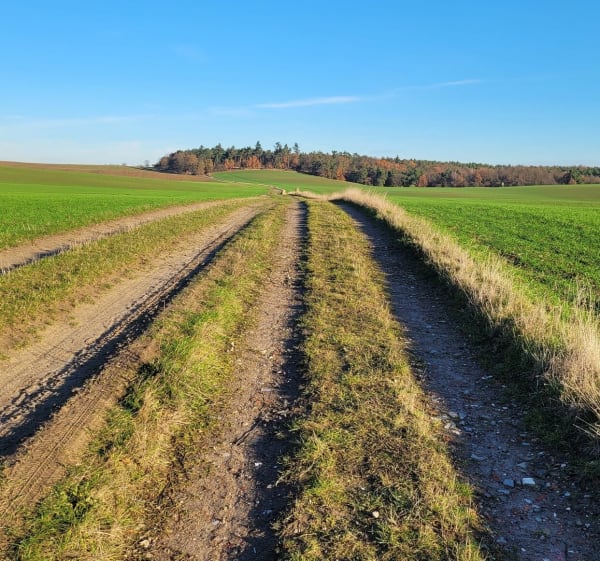 Środkowy odcinek szlaku bielika start moczyły - Moczyły - 1