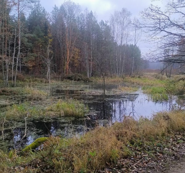 Do czerwonego mostu. - Słupsk - 1