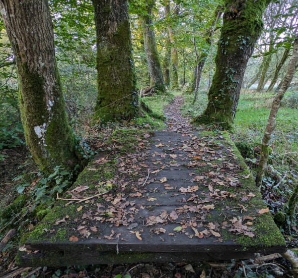 Du Canal de Nantes à Brest aux Landes de Lan Bern - Glomel - 1