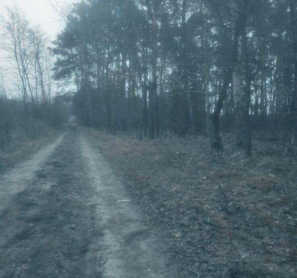 Bieganie to zdrowie. - Nowy Prażmów - 1