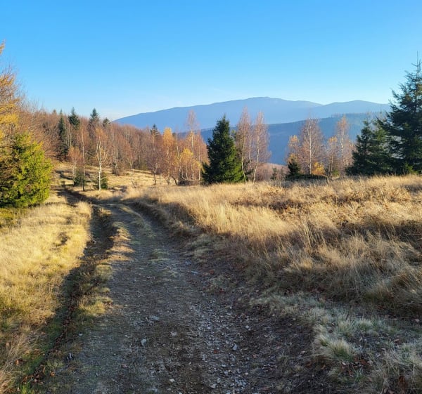 Przełęcz Przysłop, Jałowiec, Zawoja - Zawoja - 1