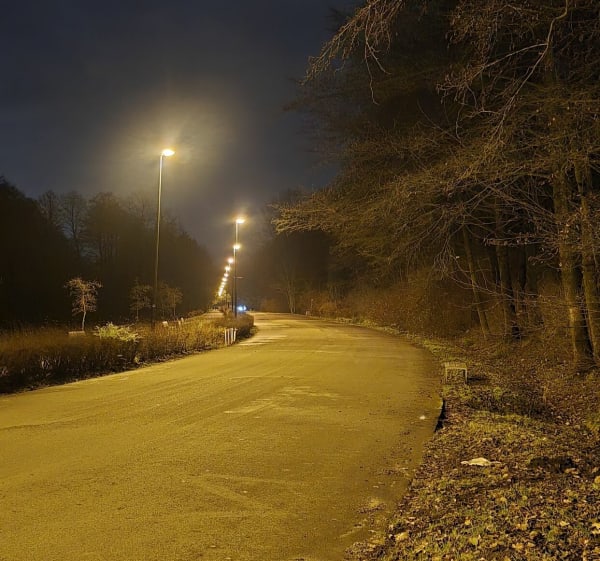 Katowice - Dolina Trzech Stawów - leśne ścieżki i deptaki - Katowice - 1
