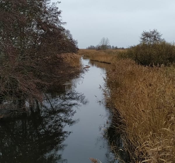 Z Pierwoszyna na klif pucki - Pierwoszyno - 1