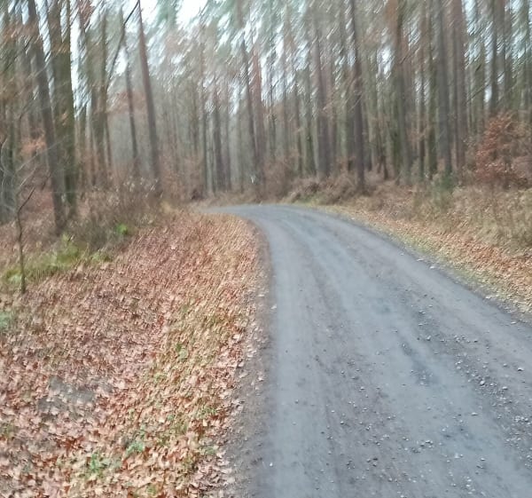 Odpocznij od fotela trasa - Kwidzyn - 1