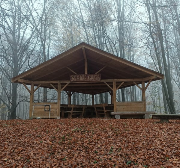 Wielki Las Lubański spacer po Górze Liściastej. - Luban - 1
