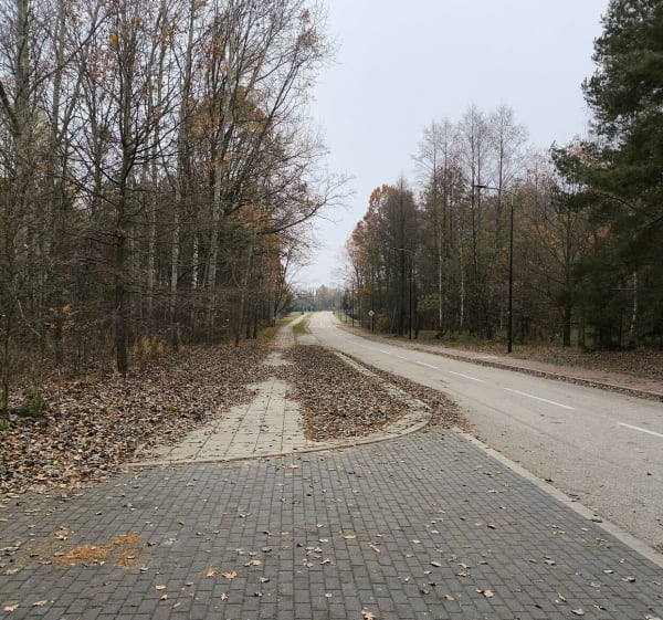 Krótki spacer po obrzeżach Puszczy - Hajnówka - 1