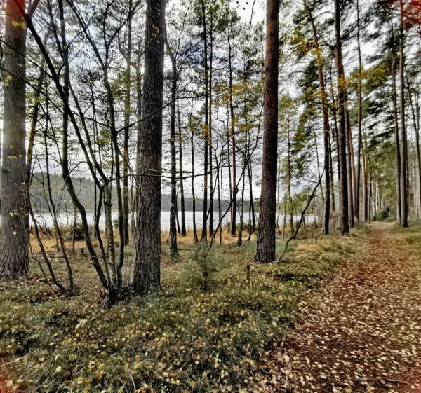 Brda, jeziora wszystko w jednej pętli. - Babilon - 1