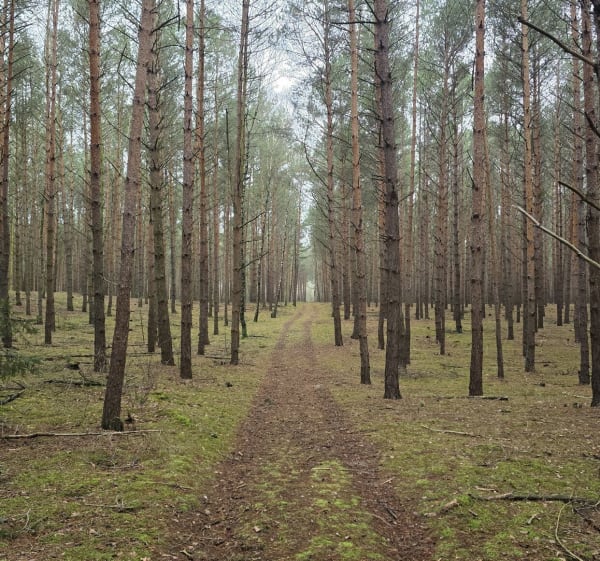 Z Krajkowa wzdłuż Warty na południe - Krajkowo - 1