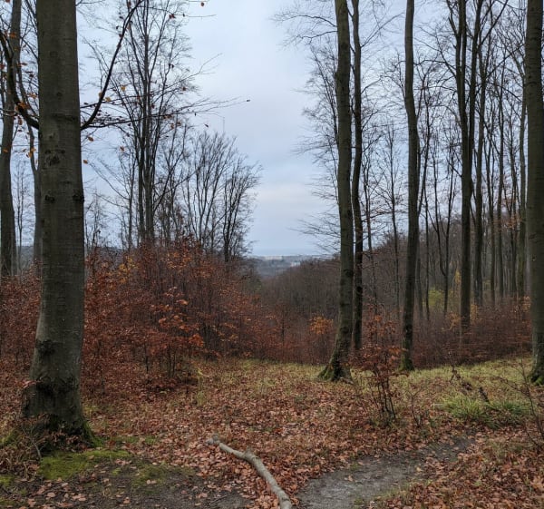 Wędrówka do punktu widokowego "Andrzej" - Gdańsk - 1