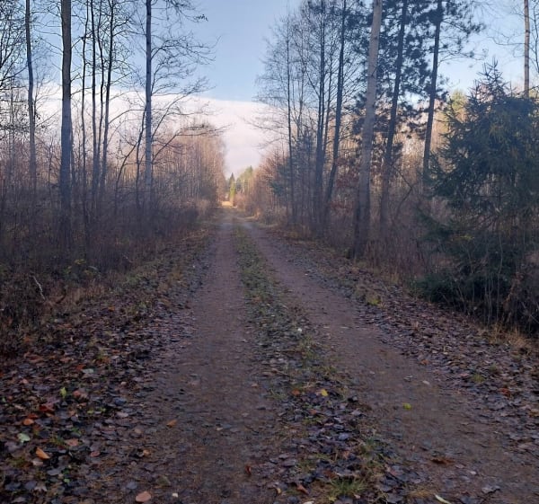 Pętla nad Zalew Łęg - Jaworzno - 1