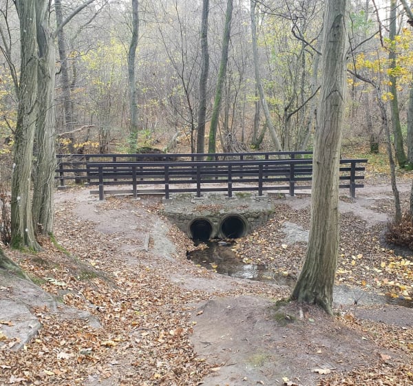 Z Jasienia na Górę Matemblewską - Gdańsk - 1