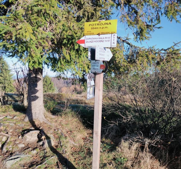 Szybka pętla w Beskidzie Małym - Rzyki - 1