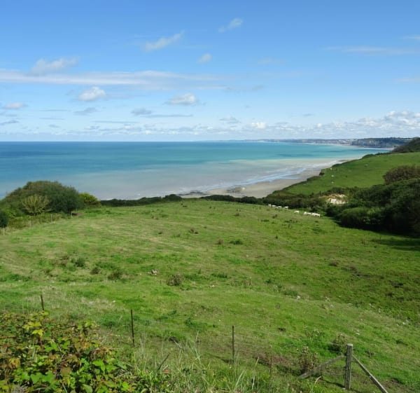De Varengeville à Pourville, entre Valleuses et Estran à marée basse - Varengeville-sur-Mer - 1