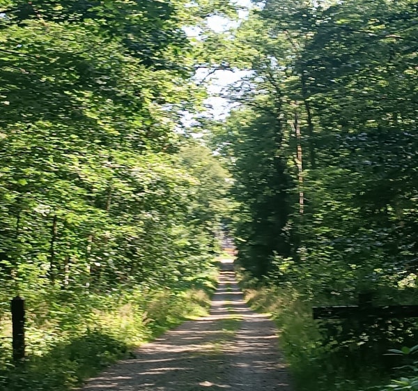 Balade à Burnhaupt-le-Haut via le petit train de la Doller - Burnhaupt-le-Haut - 1