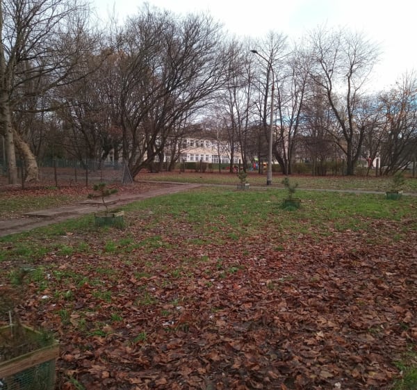 Park Kielecki o Ogród Jordanek - Łódź - 1