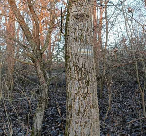 Traska pod rzekę San i most Kłyżów - Stalowa Wola - 1