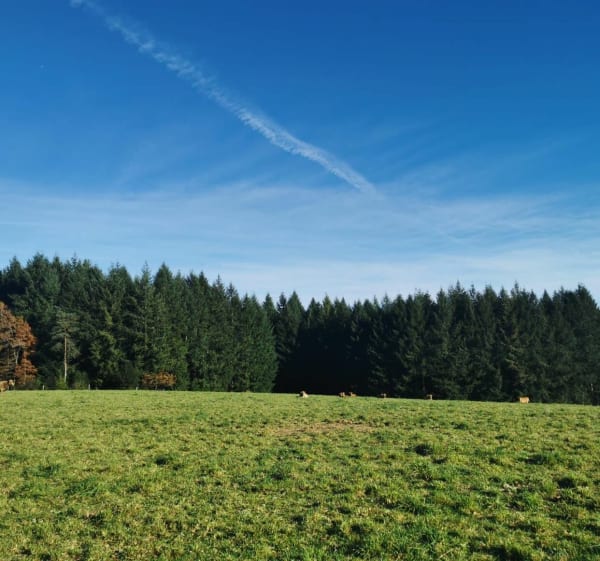 Au coeur des Monnedieres - Entre Vedrenne et la Brette - Égletons - 1