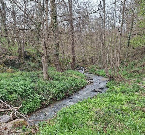 La boucle de roche en Régnier - Roche-en-Régnier - 1
