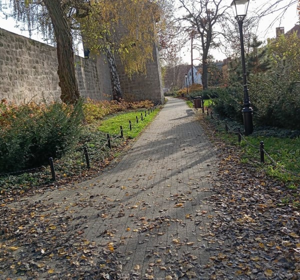 Spacer przez centrum, ładny park oraz malowniczą aleję - Lukasz - 1
