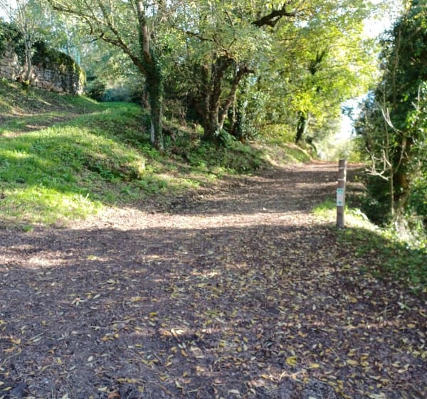 Aux bords de l'Arnoult - Pont-l'Abbé-d'Arnoult - 1