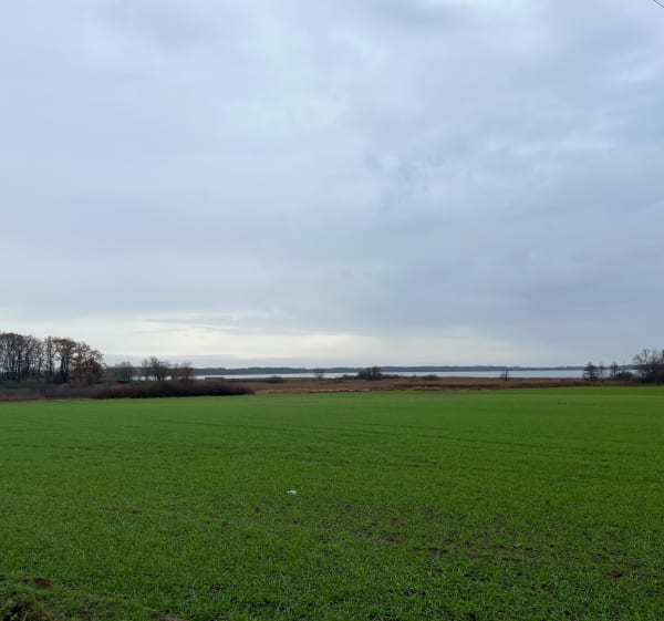 Trasa przez obszar doliny Obry - Zbąszyń - 1
