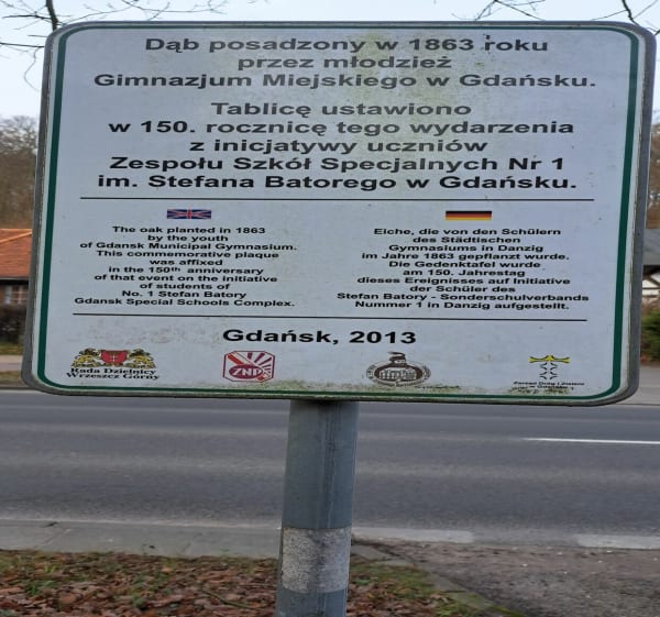 Jaśkowy las. Królewska dolina - Gdańsk - 1