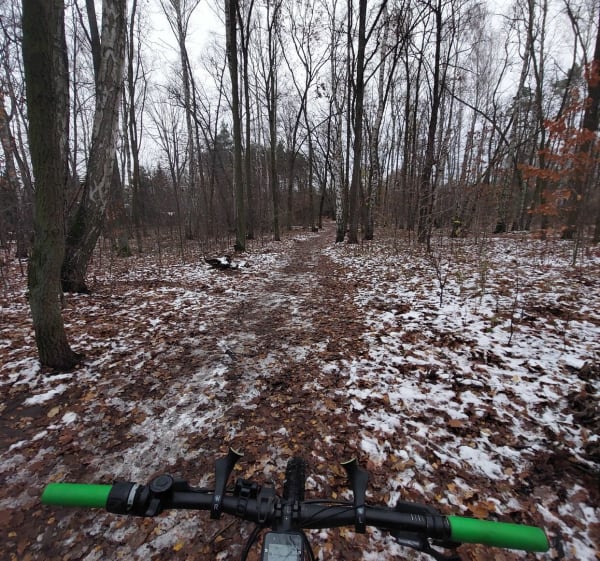 Lasy Młochowski i Komorowski z Piastowa - Piastów - 1